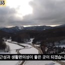 G1136 이미지