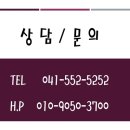 탑존자동차외형복원 이미지