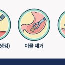 고덕 동물의료센터 네이버블로그