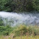 한우농장 이미지