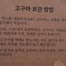 시골상점 이미지