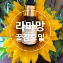 집들이선물 추천 라마망 꿀잠오일