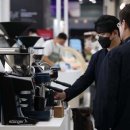 [단독] 커피 프랜차이즈 창업 수익률도 ‘가성비’ 브랜드가 1위 이미지