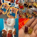 주식회사 킥더허들 핏타민더현대점 | 더현대서울 팝업스토어 핏타민 다이노탱 팝업 후기