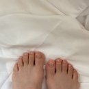 시흥 배곧 정왕동 네일아트 네일인트 여름 패디후기✨