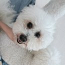 쏘쿨리빙 | 네인플 1일 2포 정모 다녀왔어요!