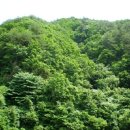 합수모래유원지 이미지