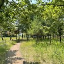 뚝넘어근린공원 이미지