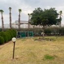 솔라티펜션 이미지