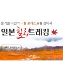 여행사봄 이미지