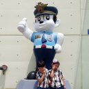 꿈나무교통나라 이미지