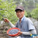 김병태농장 이미지