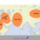 신비메디칼