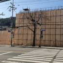 성학주유소 이미지