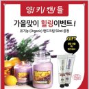 양키캔들광주