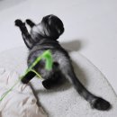 11260-4-10-34 | [초산 출산 후기] 40주 4일 자연분만 10시간 진통 후 드디어 만난 내 보물