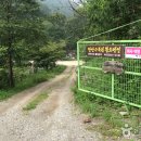 만산고을펜션 Daum카페