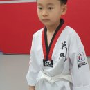 국가대표 영웅 태권도 이미지