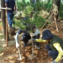 조경기능사 실기과정 이미지