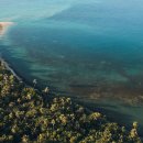 eco green farm 이미지