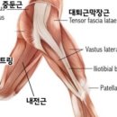데시앙휘트니스 이미지