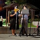 바람의 선율 팬플룻 이미지