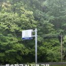 특수학교 AI 진로&직업 교육 :: AI로 완성하는 나의 포트폴리오