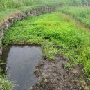 삼태농장 이미지