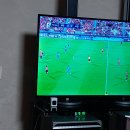 수원-1995 이미지