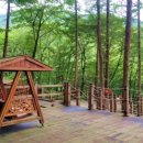 천천와룡자연휴양림 이미지