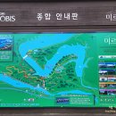 초롱길 이미지