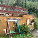 애플팜핑 이미지