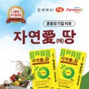 팜엔코
