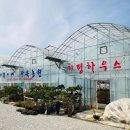 기쁨이네 - 춘천시 | 기쁨이네