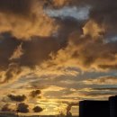 선우 소프트 이미지