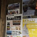 출발 (요코하마 이메케 한노스케, 에구치 간장공장, 가네이시성터, 쓰시마박물관, 덕혜옹주비, 쓰시마...