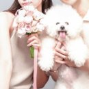 수원-1704 이미지