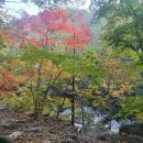 2020.10.10.(토) 지리산(노고단-반야봉-뱀사골)(정기산행) 이미지