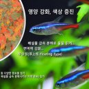 세화사료 이미지