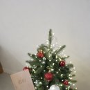 스테이도유 이미지