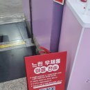 멘야네코 이미지