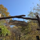 1781 | 청송 주왕산 절골계곡 단풍 산행 가을 트레킹 추천 청송 가볼 만한 곳 아름다운 숲길