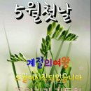 오월의 종달새
