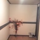 동조리젠시 이미지