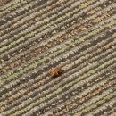 코리아세븐 관악무지개점 | 연말 대만여행 3박4일 2일차 일정 ( 아종면선 행복당 고궁박물관 진천미 천천리 삼형매빙수)