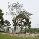 용산-32 티스토리