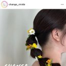 비비드윤 이미지