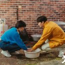 닥터로이 이미지