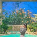 예스 나동 이미지