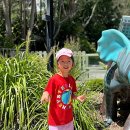 호주공인중개사사무소 이미지